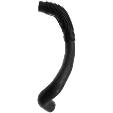 1996-2001 INFINITI I30 Radiator Coolant Hose - Lower (Dayco)
