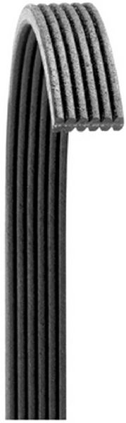 1995-2003 Volkswagen Golf Serpentine Belt - Main Drive (Dayco)