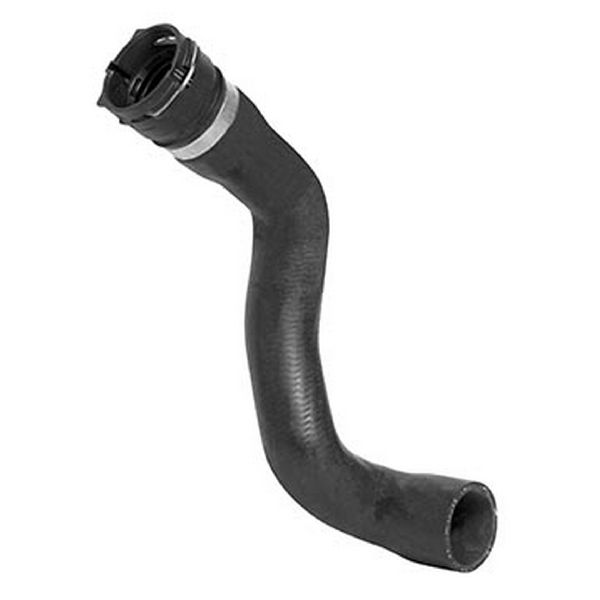 1999-2002 BMW Z3 Radiator Coolant Hose - Lower (Dayco)