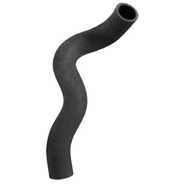 2009-2014 Nissan Cube Radiator Coolant Hose - Lower (Dayco)