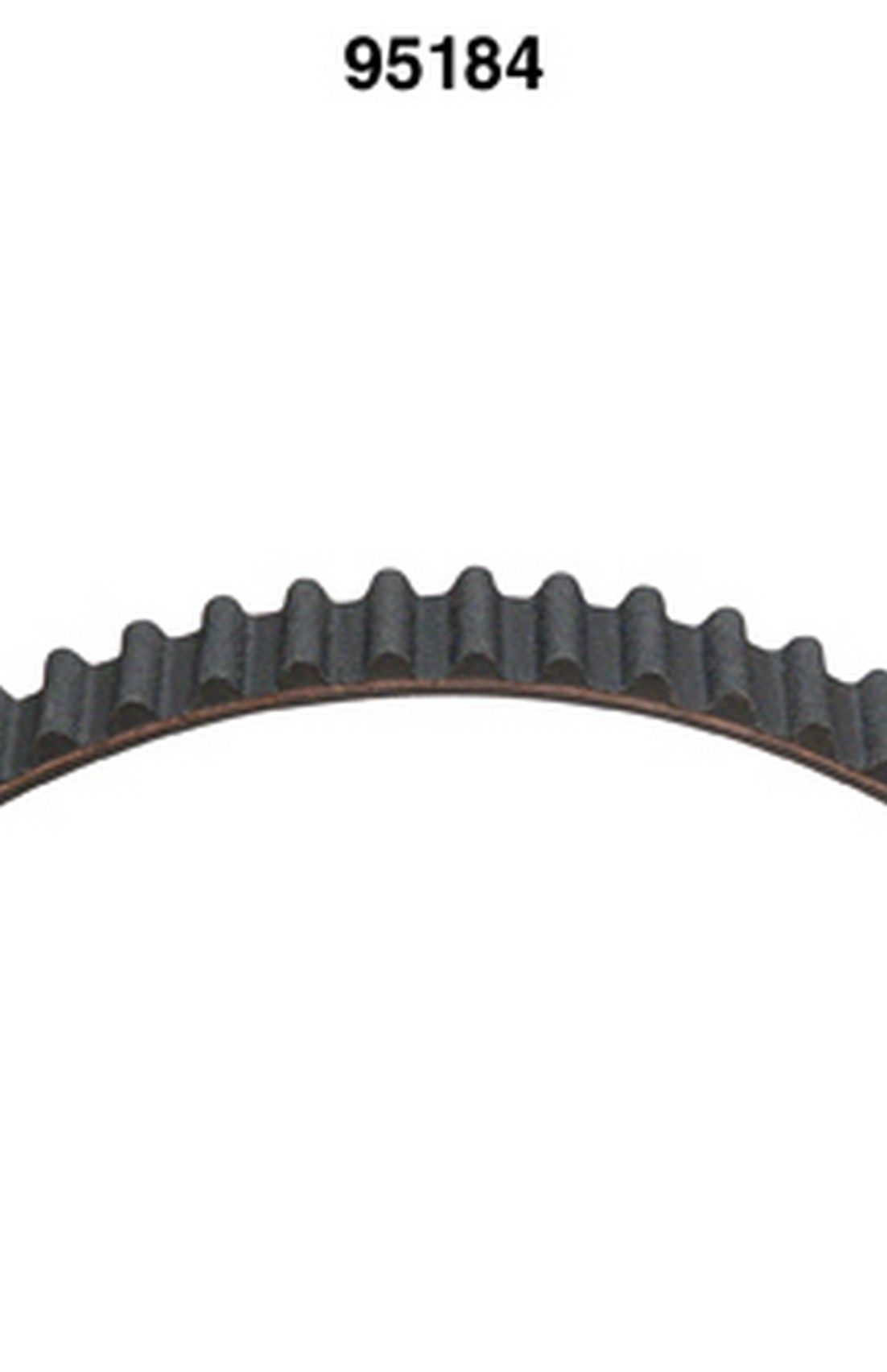 Engine Timing Belt