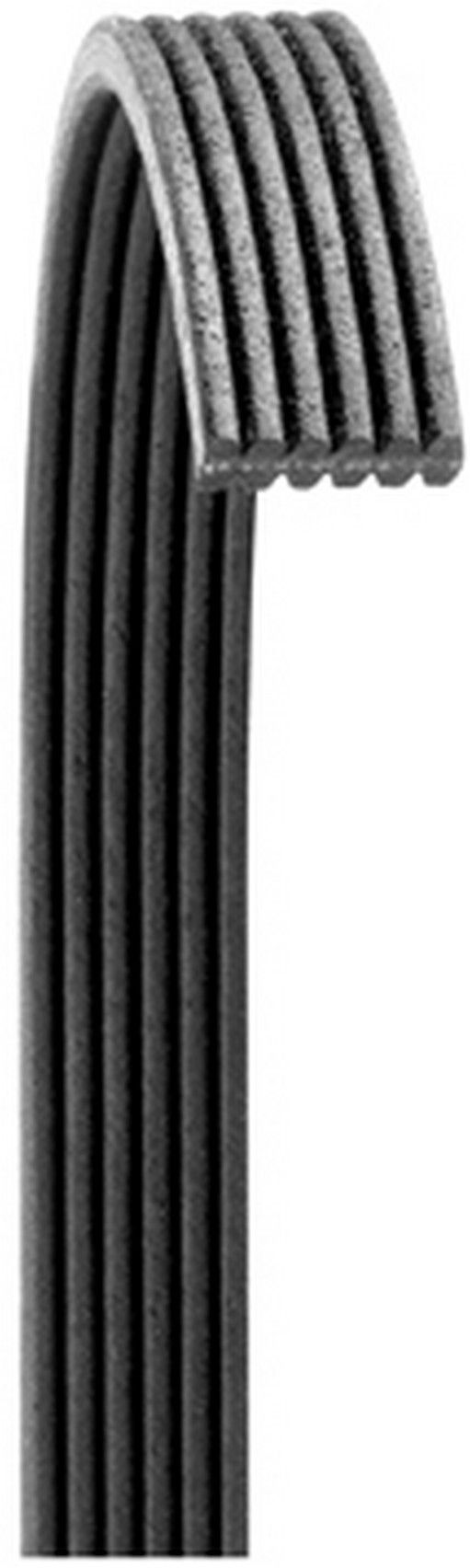 2014, 2013, 2012 Ford Edge Serpentine Belt