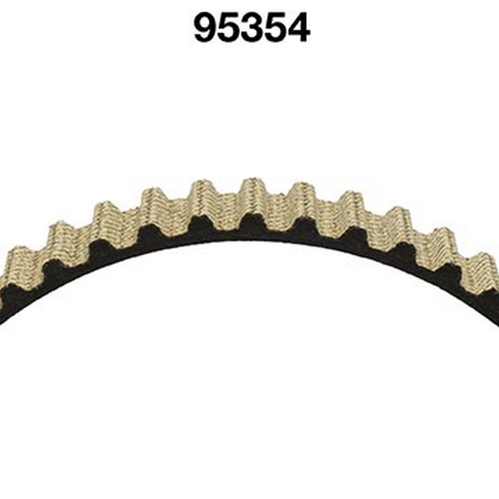 Engine Timing Belt
