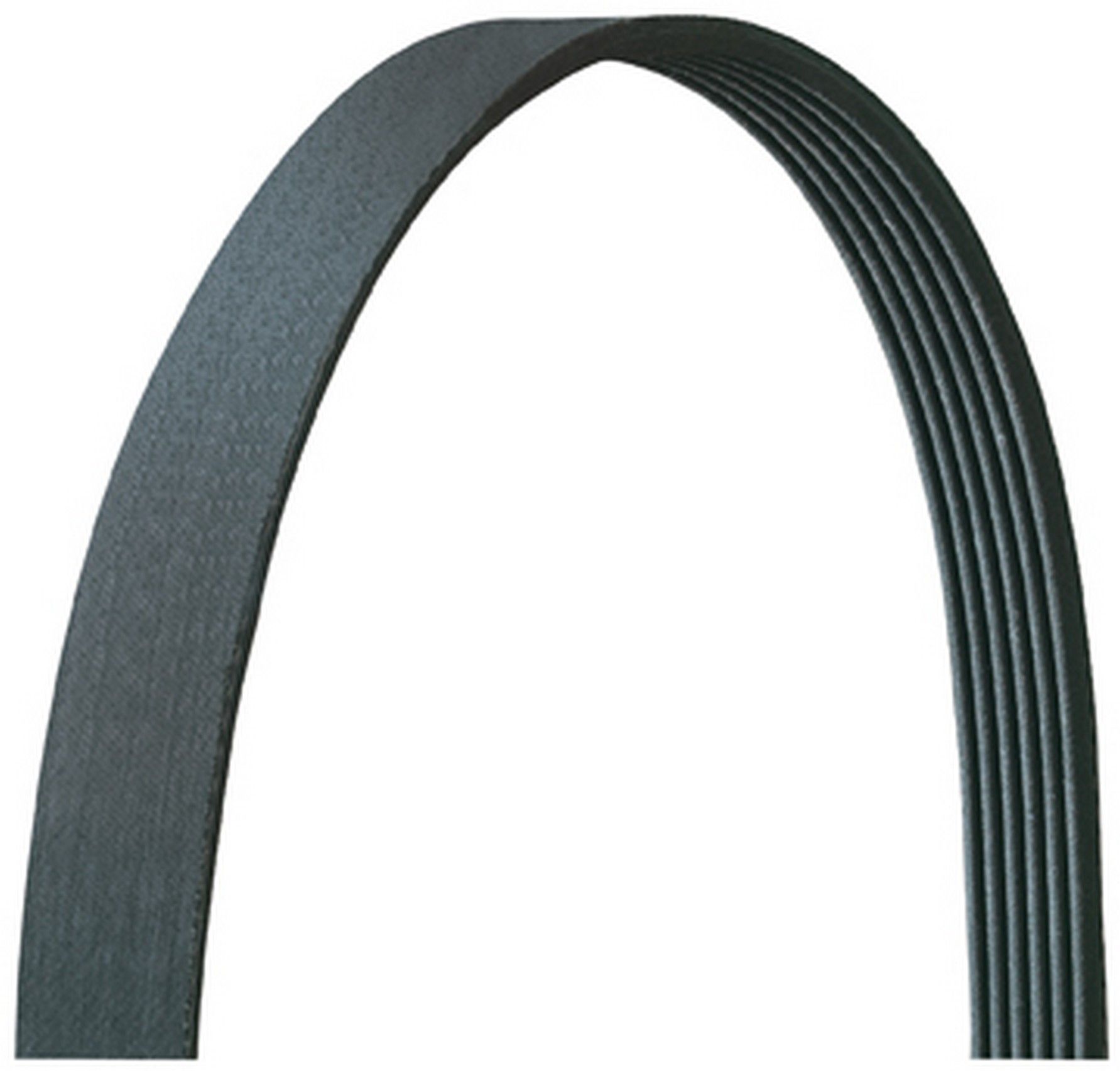 2006-2009 Chevrolet C3500HD Serpentine Belt Dayco