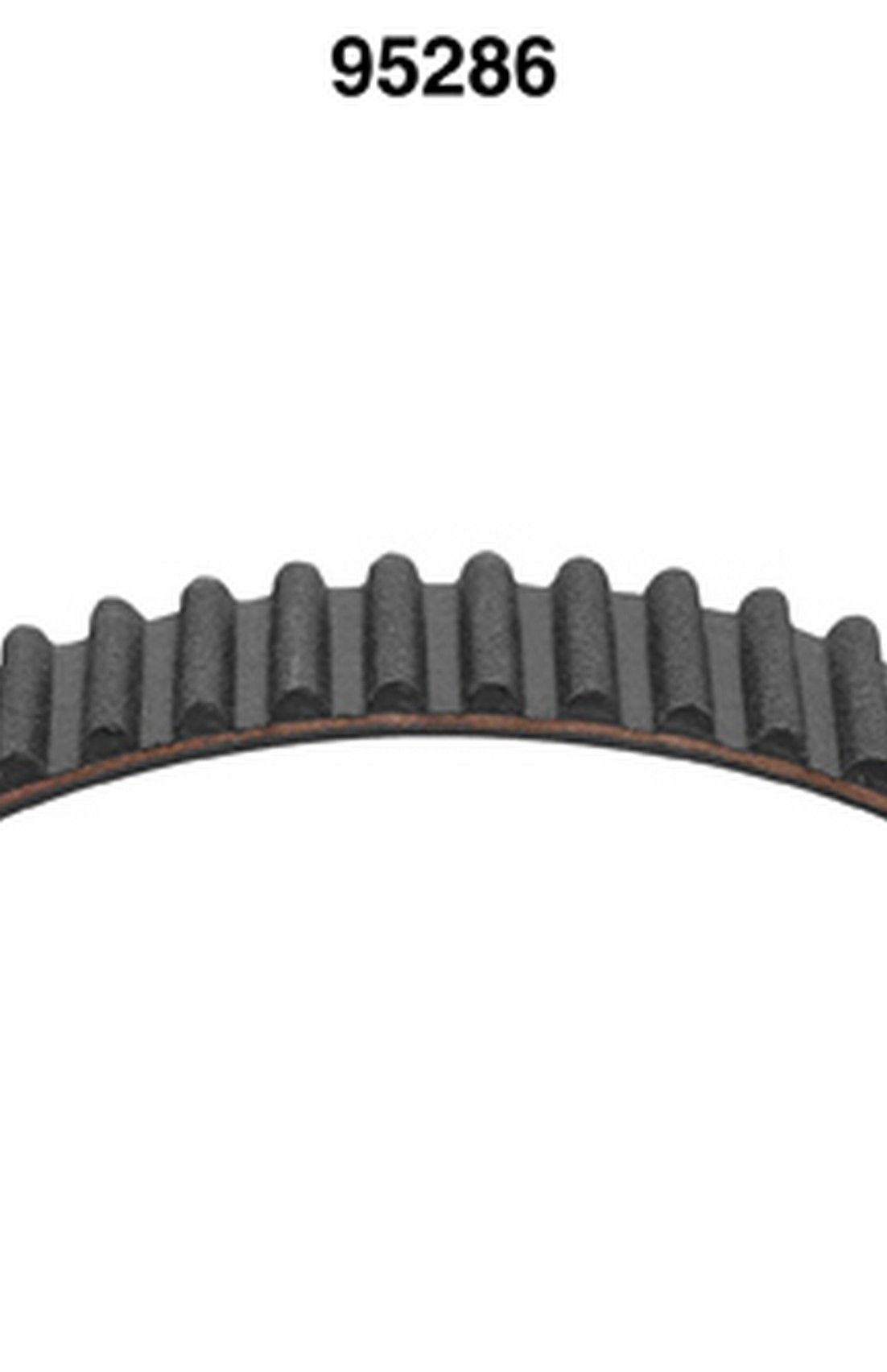 Engine Timing Belt