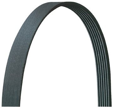 Dayco Water Pump AC Accessory Drive Belt for 1977-1978 Nissan F10 Serpentine ze 