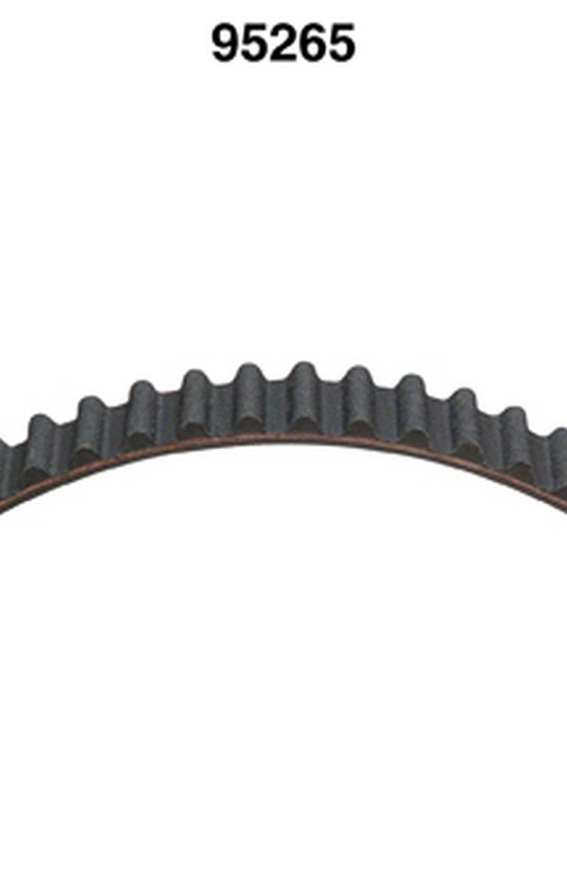 Engine Timing Belt
