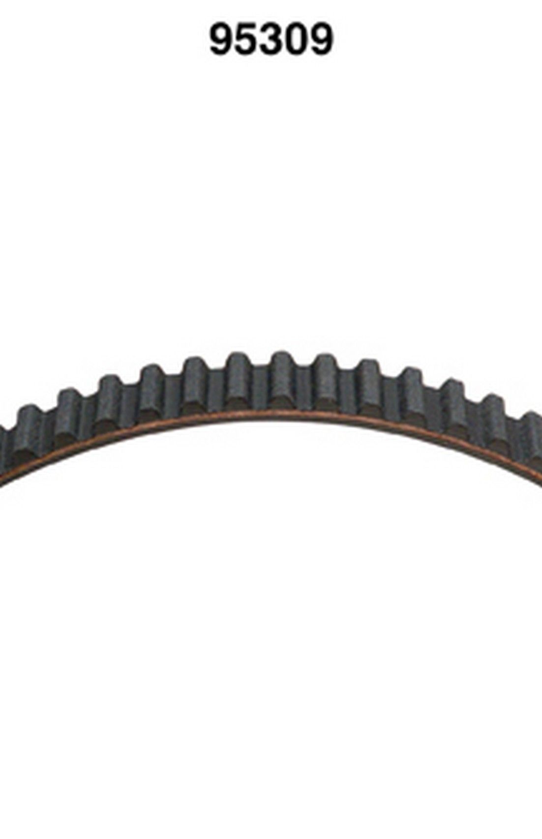 Engine Timing Belt