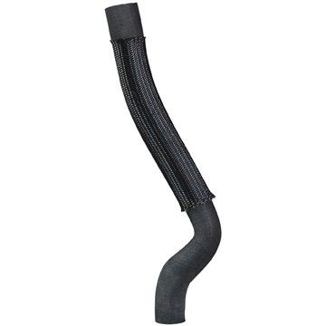 Radiator Coolant Hose