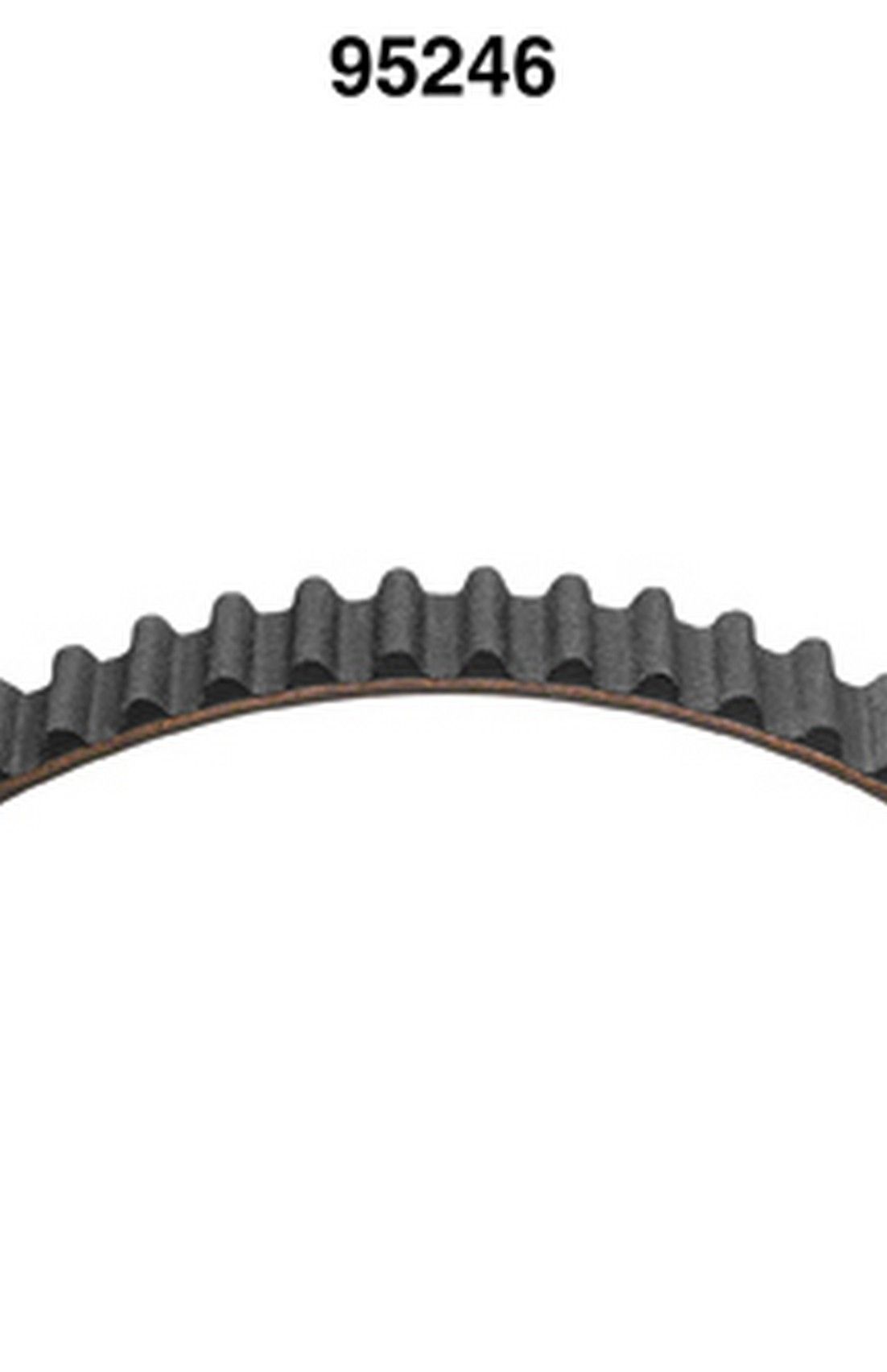 Engine Timing Belt