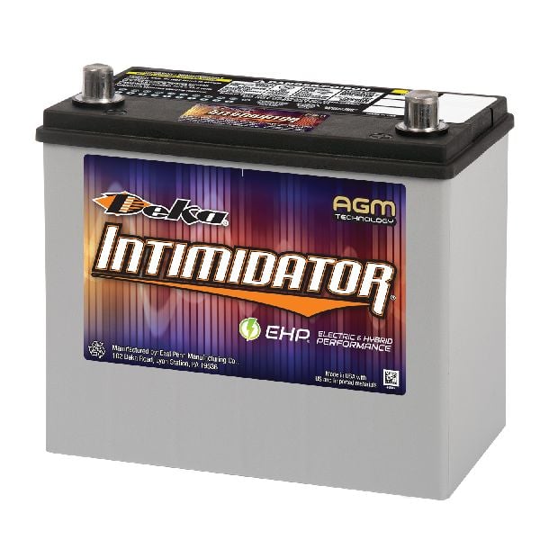 2017-2022 Tesla 3 Vehicle Battery (Deka Battery)