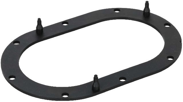 2001-2002 Toyota 4Runner Fuel Pump Tank Seal (Delphi)