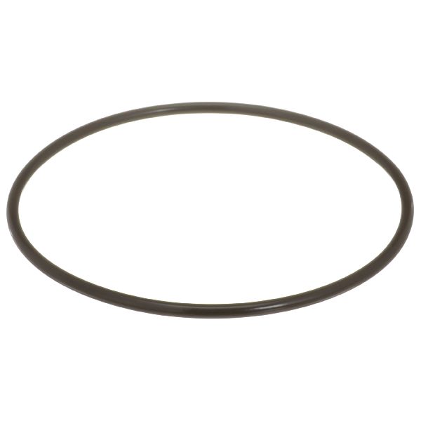 1993-2001 Nissan Altima Fuel Pump Tank Seal (Delphi)
