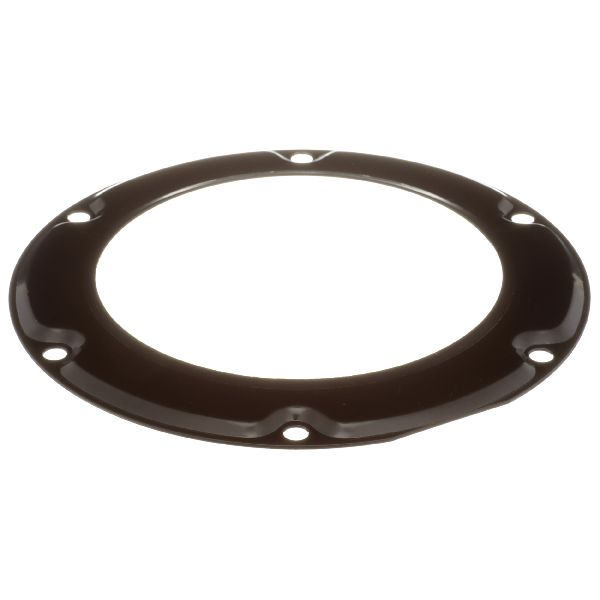 2008-2012 INFINITI EX35 Fuel Tank Lock Ring (Delphi)