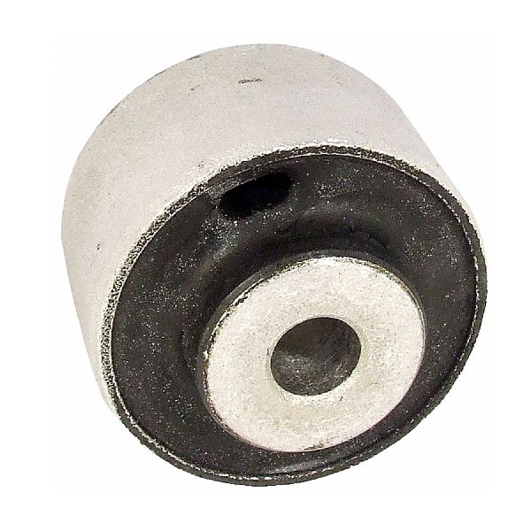 2006-2011 Audi A6 Suspension Control Arm Bushing - Front Upper (Delphi)
