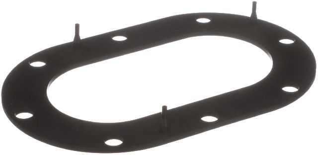 1992-1999 Subaru Legacy Fuel Pump Tank Seal (Delphi)
