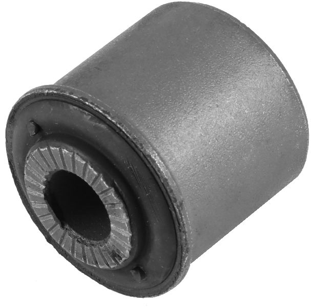 2006-2007 Dodge Ram 1500 Suspension Track Bar Bushing - Front (Delphi)