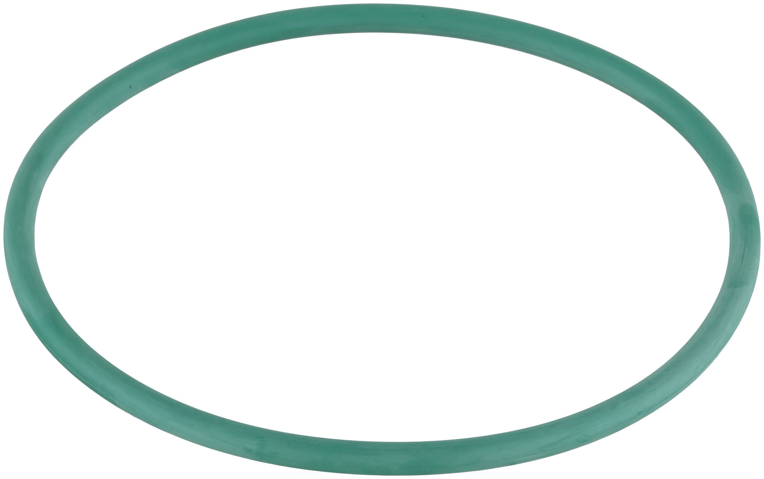 2008-2009 Buick Allure Fuel Pump Tank Seal Delphi