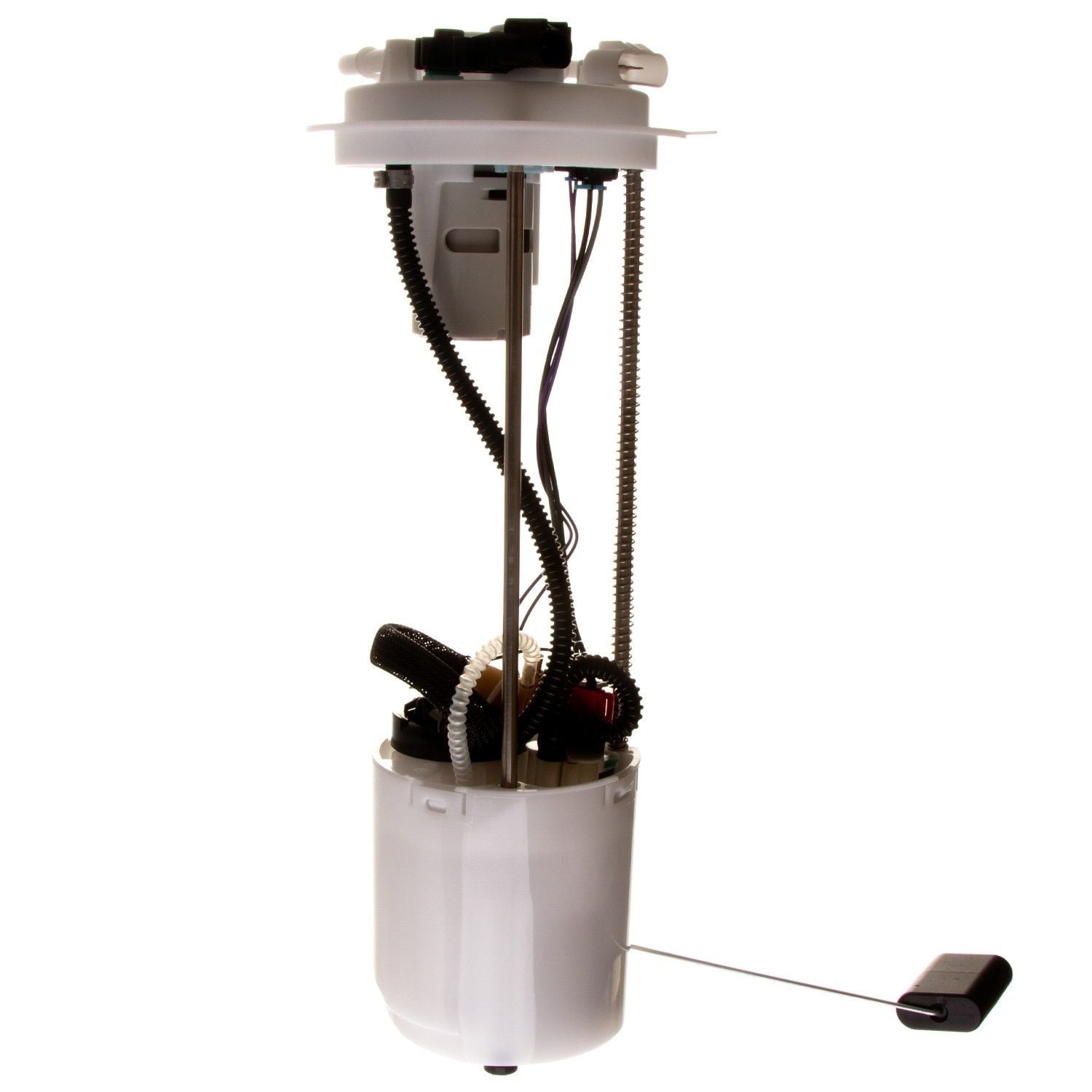 Fuel Pump Module Assembly