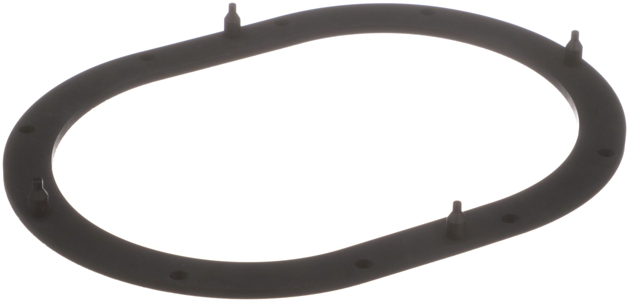 Fuel Pump Tank Seal