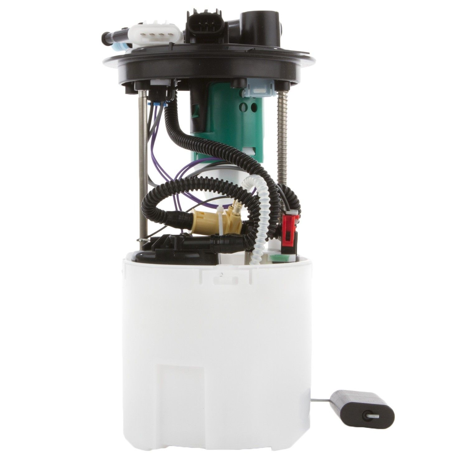 Fuel Pump Module Assembly