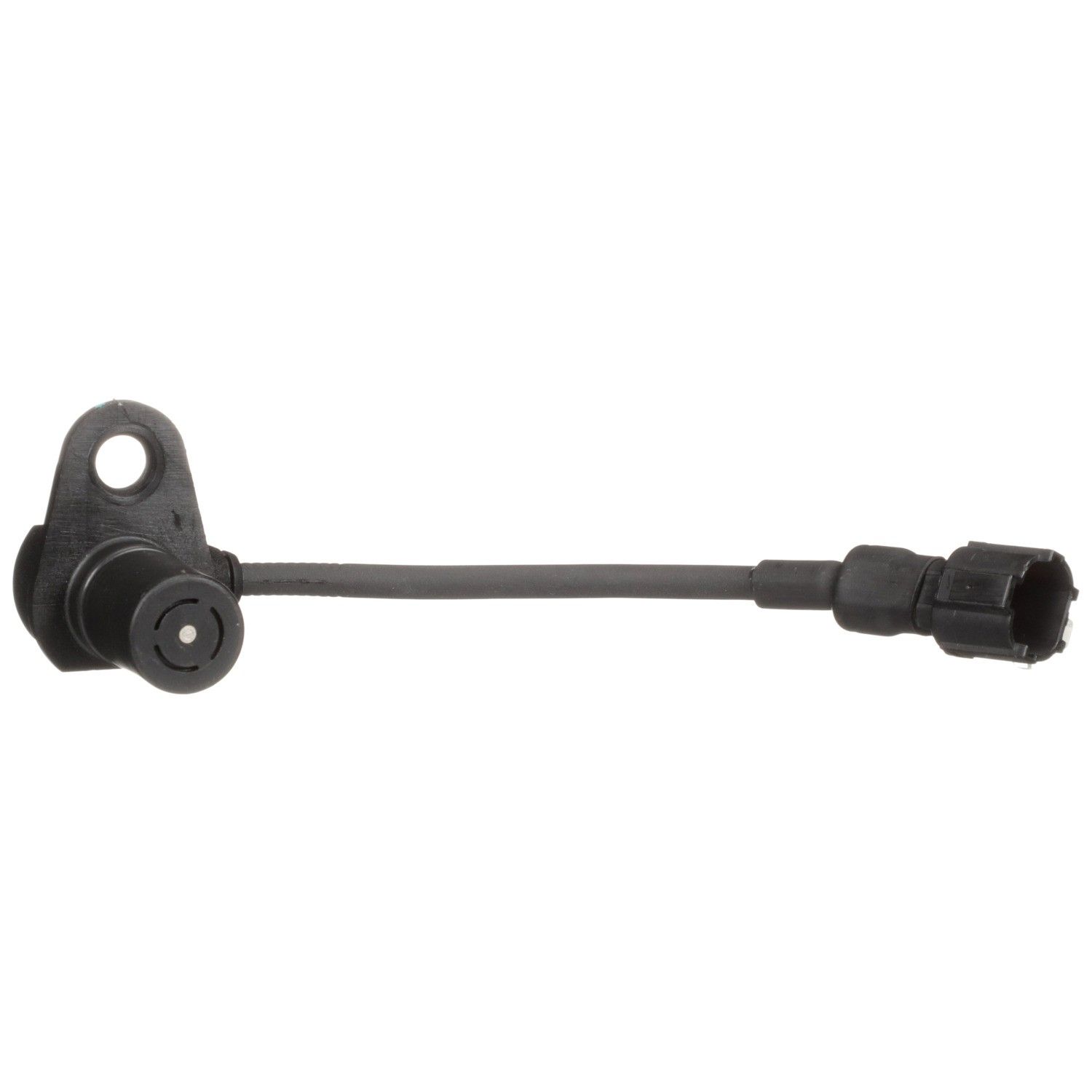View 5