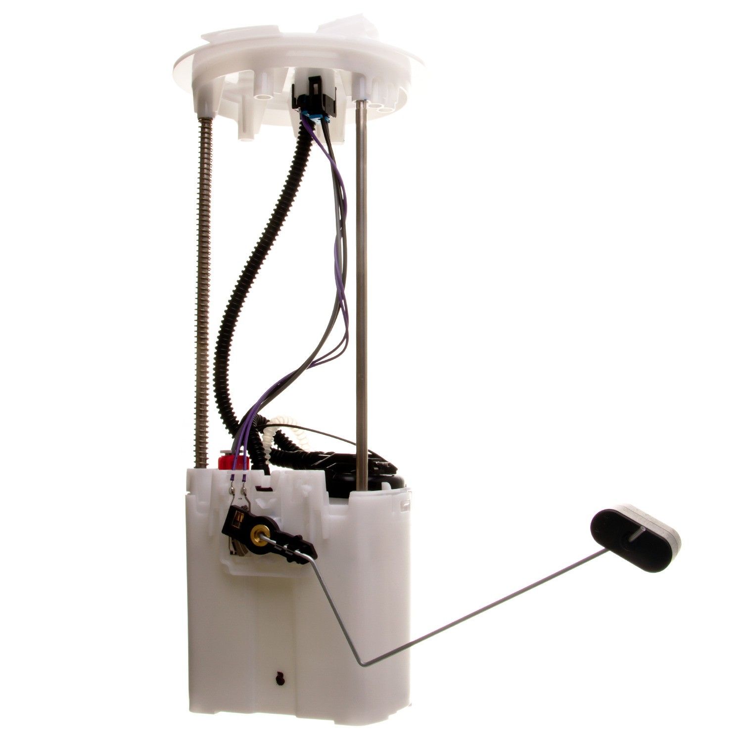 Dodge Ram 1500 Fuel Pump Module Assembly Replacement (Airtex, AutoBest
