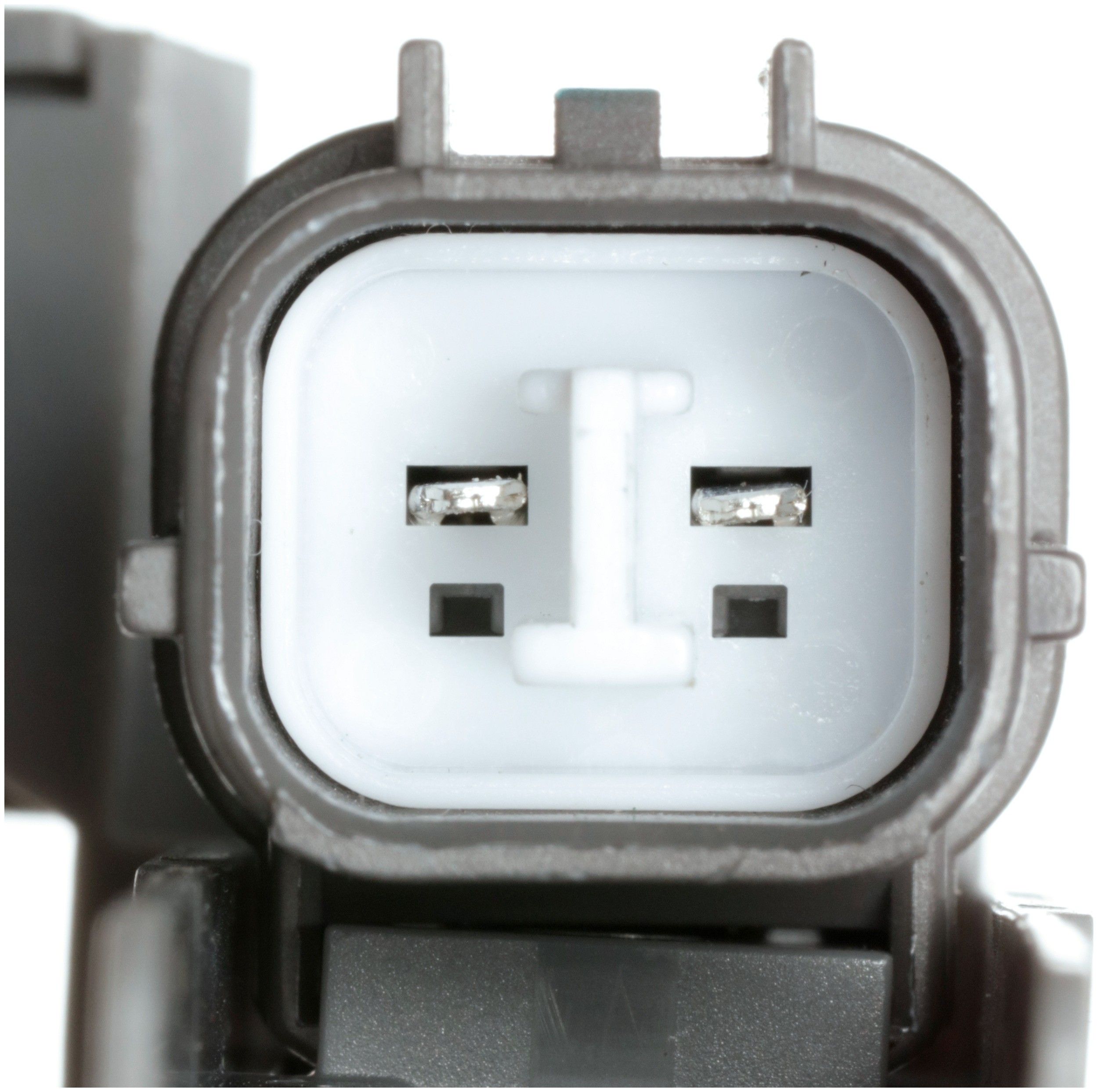 View 4