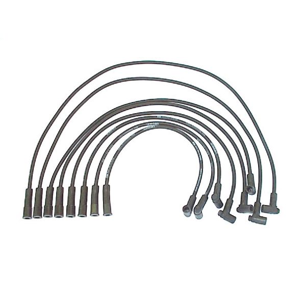 1979-1981 Buick Century Spark Plug Wire Set (Denso)