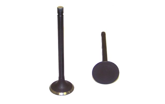1999-2002 Saturn SL2 Engine Exhaust Valve (DNJ Engine Components)