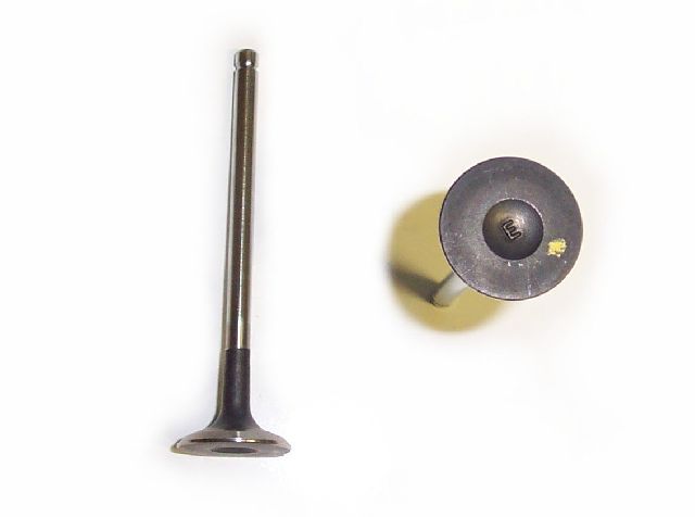 2004-2008 Chevrolet Aveo Engine Exhaust Valve (DNJ Engine Components)