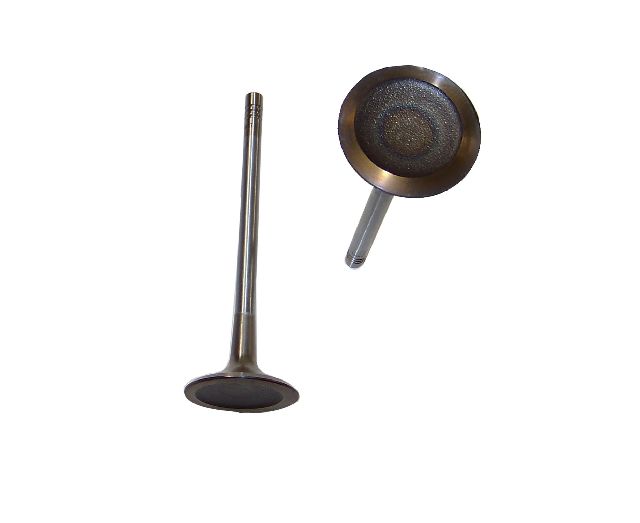 2012-2013 Volkswagen Beetle Engine Intake Valve (DNJ Engine Components)
