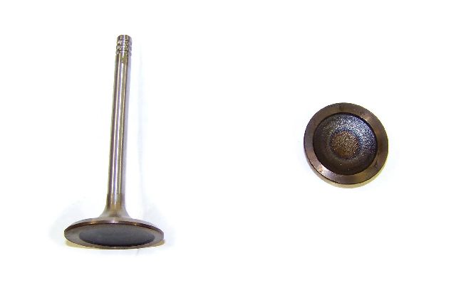 1995-1997 Audi A6 Engine Intake Valve (DNJ Engine Components)