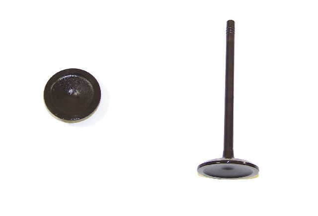 2004-2005 Buick Rainier Engine Intake Valve (DNJ Engine Components)