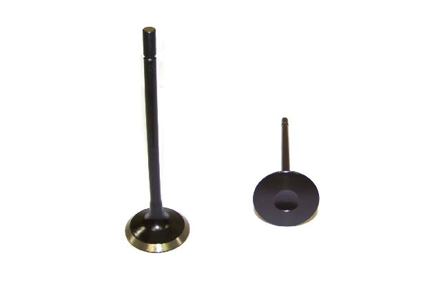 2000-2006 Lincoln LS Engine Exhaust Valve (DNJ Engine Components)