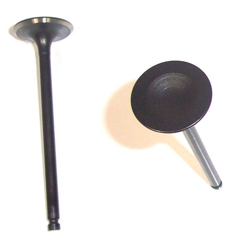 2004, 2003, 2002, 2001, 2000, 1999, 1998 Isuzu Rodeo Engine Intake Valve