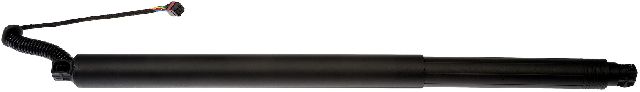 2015-2021 Nissan Murano Liftgate Cylinder - Right (Dorman)