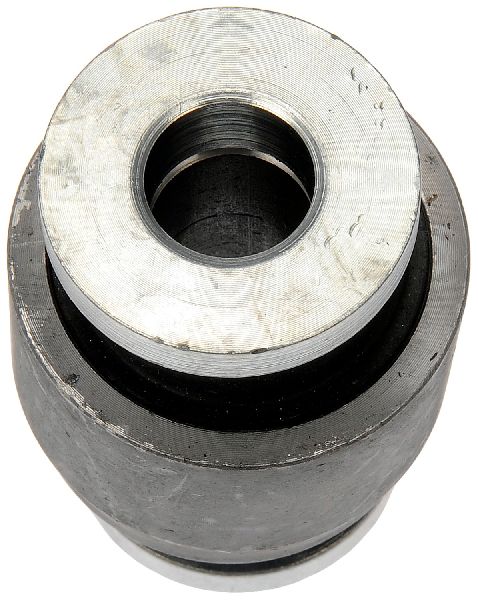 2003-2006 Lincoln Navigator Suspension Control Arm Bushing - Rear Upper At Knuckle (Dorman)