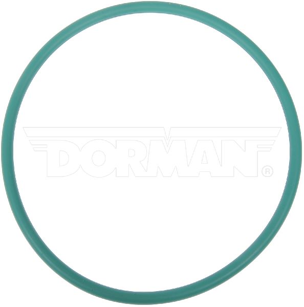 2005-2017 Chevrolet Equinox Fuel Pump Tank Seal (Dorman)