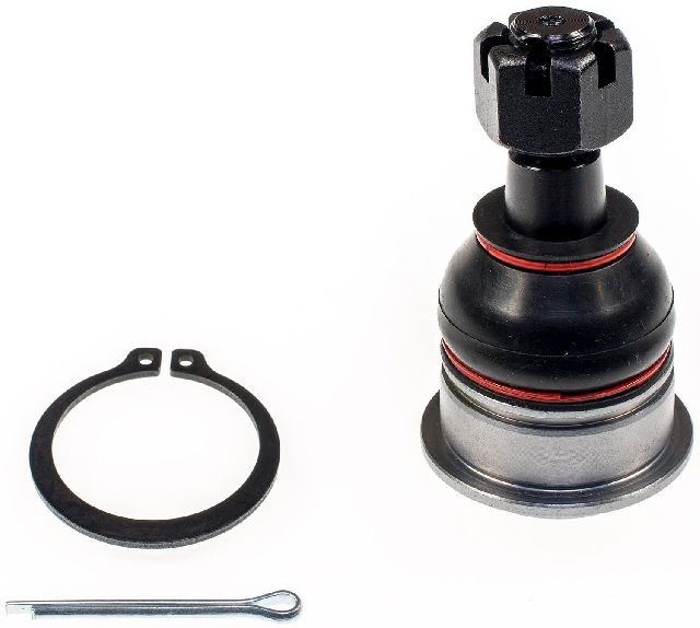 2000-2006 Nissan Sentra Suspension Ball Joint - Front Lower (Dorman)