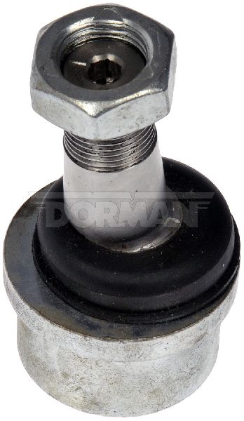 1994-1999 Dodge Ram 1500 Alignment Caster / Camber Ball Joint - Front Lower (Dorman)
