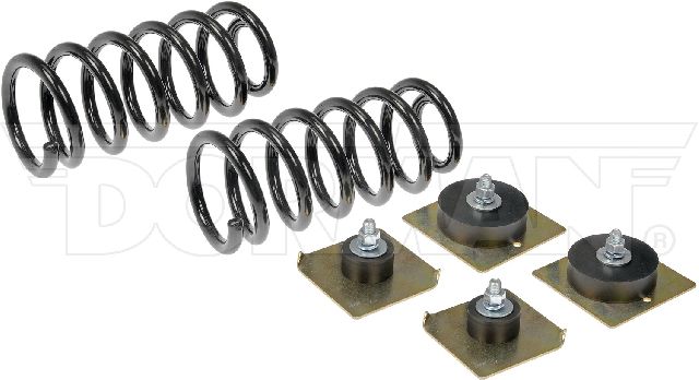1995-2002 Lincoln Continental Air Spring to Coil Spring Conversion Kit - Rear (Dorman)