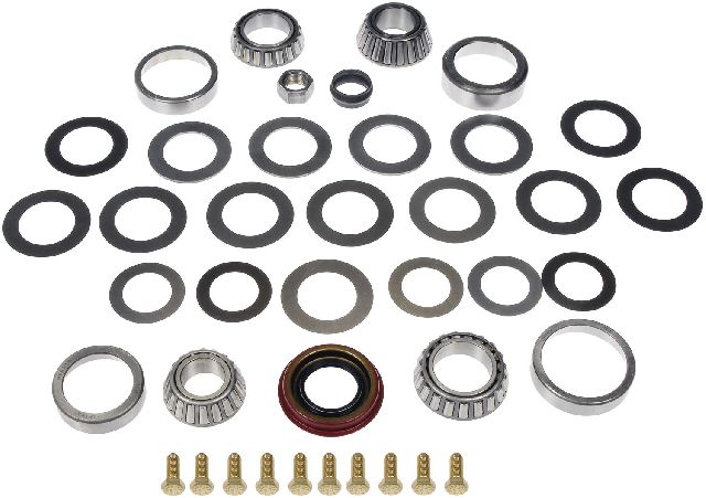 1966-1971 Chevrolet Caprice Differential Bearing Kit - Rear (Dorman)
