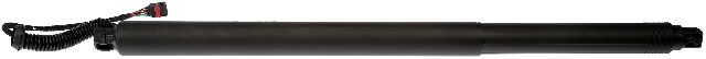 2015-2021 Nissan Murano Liftgate Cylinder - Left (Dorman)