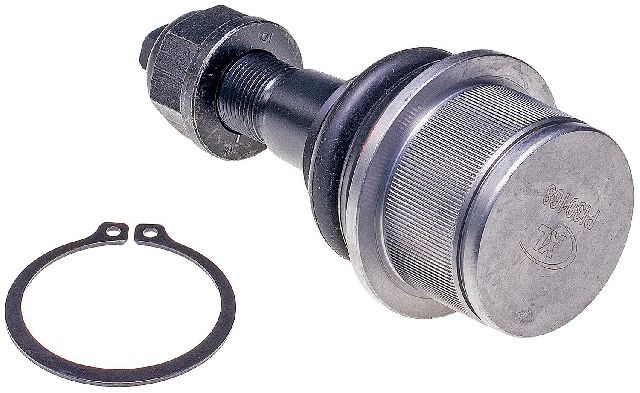 2011-2012 Ram 3500 Suspension Ball Joint - Front Lower (Dorman)