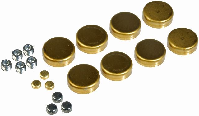 1977-1981 Buick Century Engine Expansion Plug Kit (Dorman)