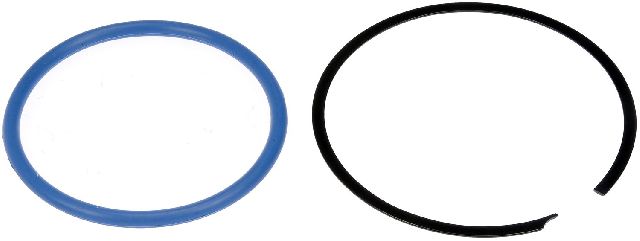 1996-2001 Chevrolet Lumina Fuel Tank Sending Unit Lock Ring (Dorman)