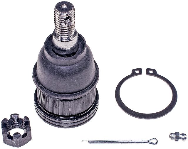 2005-2006 Honda Odyssey Suspension Ball Joint - Front Lower (Dorman)