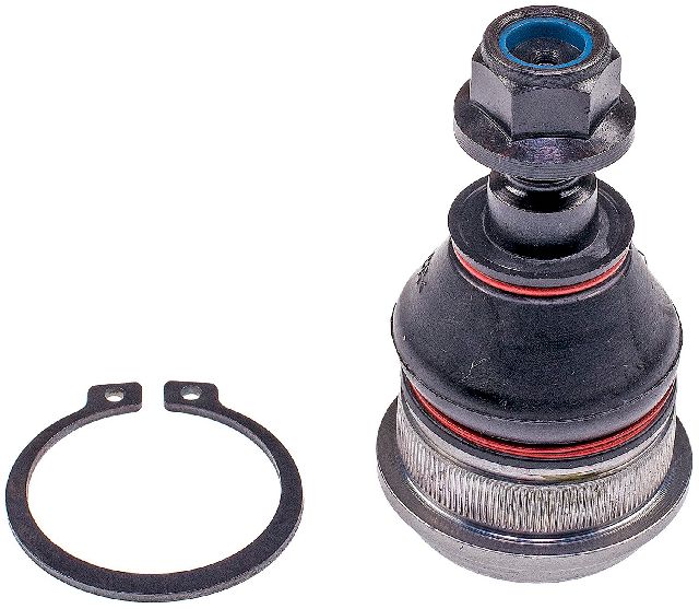 2000-2006 Hyundai Accent Suspension Ball Joint - Front Lower (Dorman)