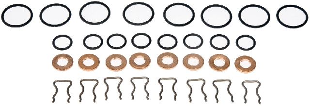 2006-2010 Chevrolet Express 2500 Fuel Injector O-Ring Kit (Dorman)